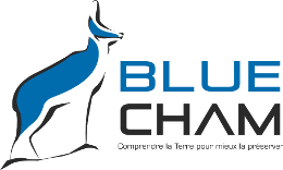 Logo 2