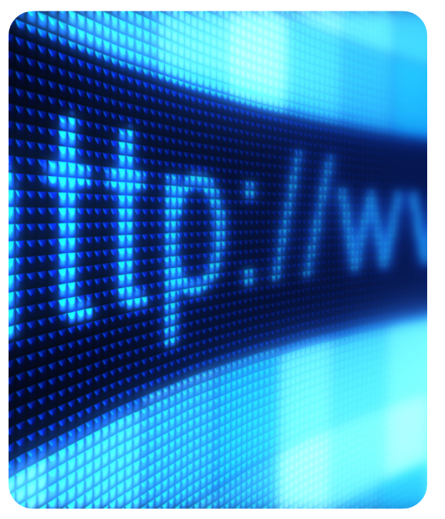 Domain Expertise