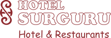Logo 13